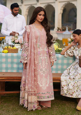 Embroidered Lawn Suit — temporary visual reference
